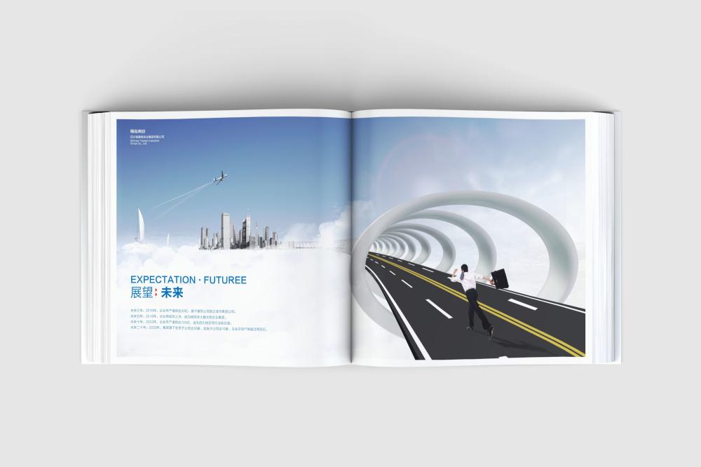 青云谱区画册设计